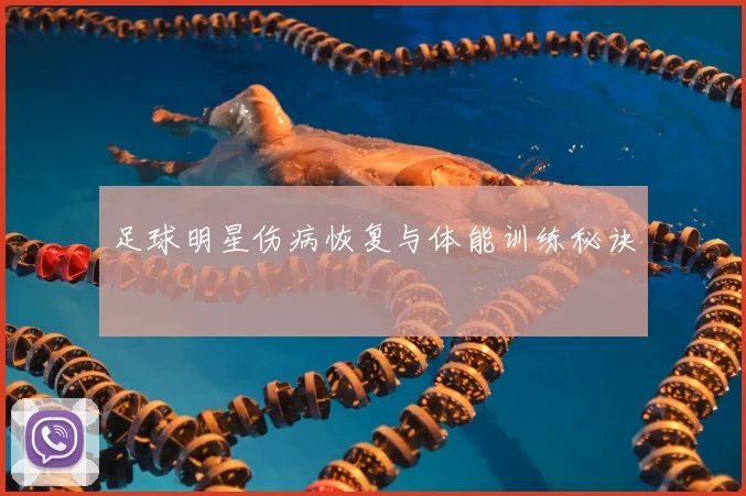 足球明星伤病恢复与体能训练秘诀