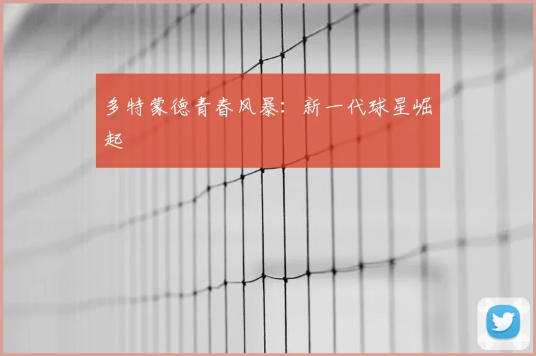 多特蒙德青春风暴:新一代球星崛起