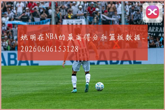 姚明在NBA的最高得分和篮板数据_20260606153128